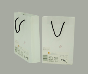 White Mini Shopping bag 160x50x265mm 500 PK
